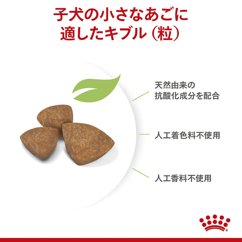 【ガイドブック付】【1.5kg×6袋】ロイヤルカナン SHN エクストラ スモール パピー 超小型犬 成長後期の子犬用 生後10ヵ月齢まで (犬・ドッグ)[正規品]