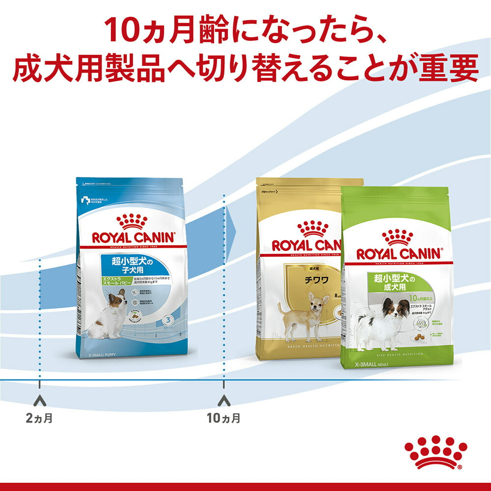 ロイヤルカナン SHN エクストラ スモール パピー 超小型犬 成長後期の子犬用 生後10ヵ月齢まで 3kg (犬・ドッグ)[正規品]