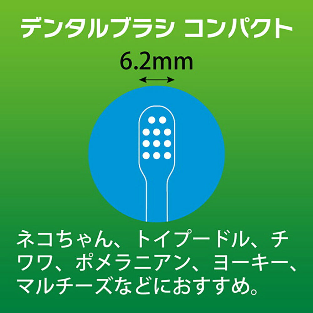 【メール便】ライオン PETKISS デンタルブラシ コンパクト 1本 (犬猫兼用)[M便 1/6]