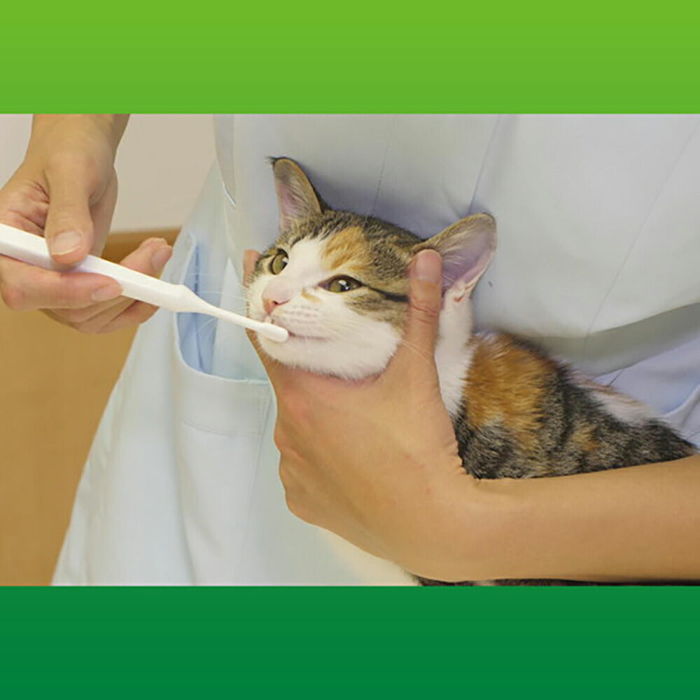 【メール便】ライオン PETKISS デンタルブラシ コンパクト 1本 (犬猫兼用)[M便 1/6]