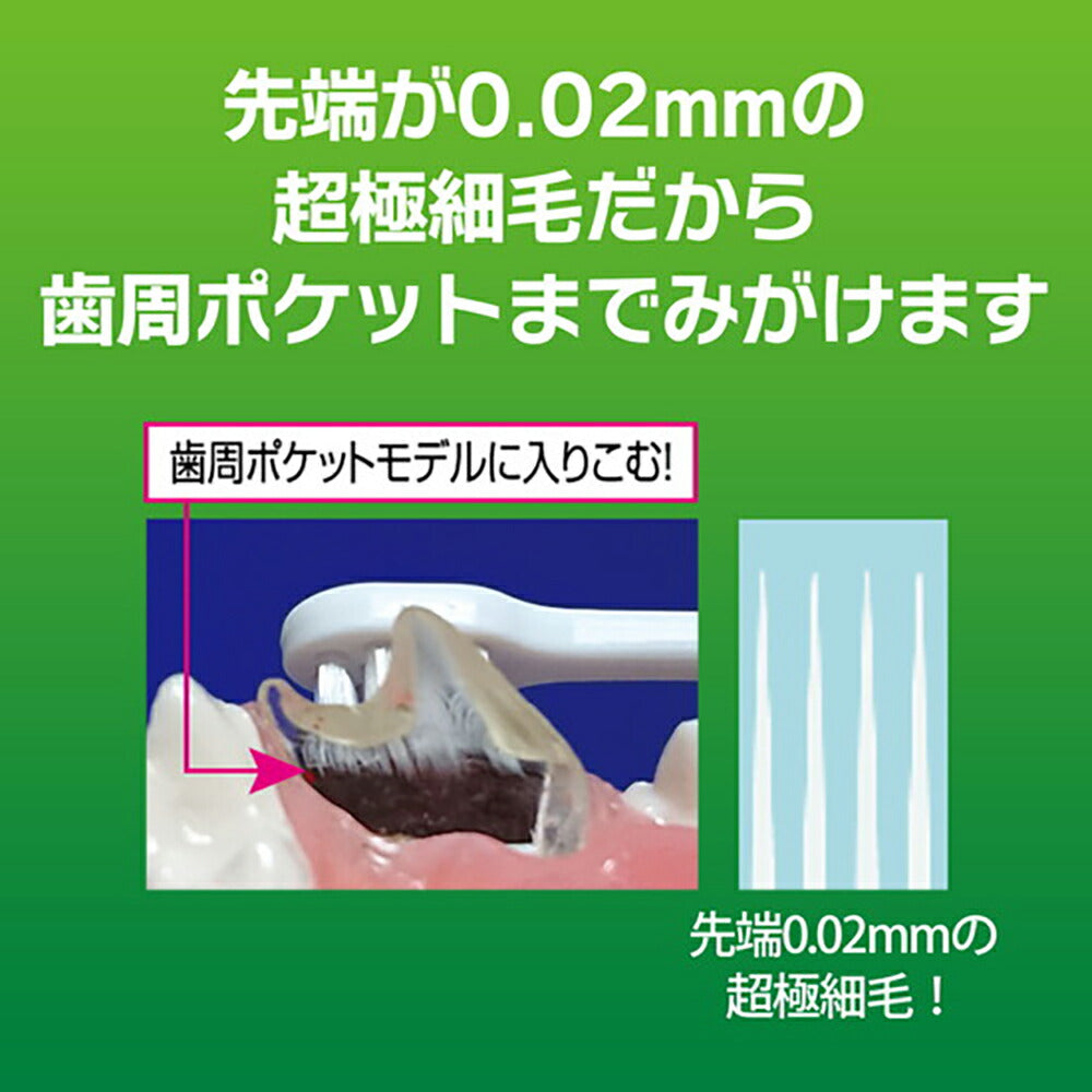 【メール便】ライオン PETKISS デンタルブラシ レギュラー 1本 (犬猫兼用)[M便 1/6]