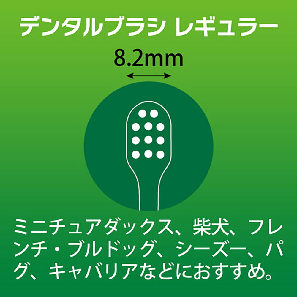 【メール便】ライオン PETKISS デンタルブラシ レギュラー 1本 (犬猫兼用)[M便 1/6]