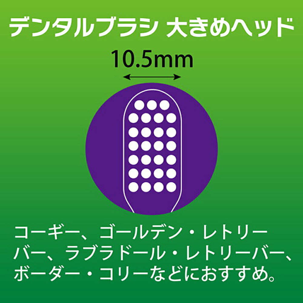 【メール便】ライオン PETKISS デンタルブラシ 大きめヘッド 1本 (犬猫兼用)[M便 1/6]