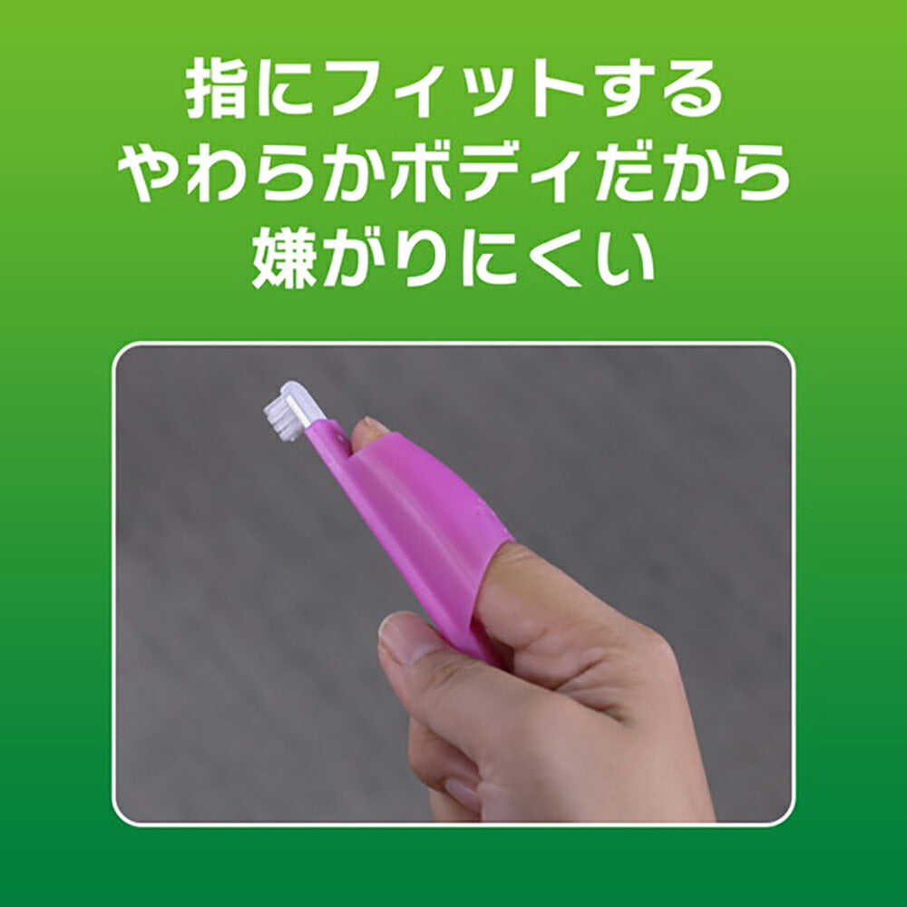 【メール便】ライオン PETKISS 指サック歯ブラシ (犬猫兼用)[M便 1/8]