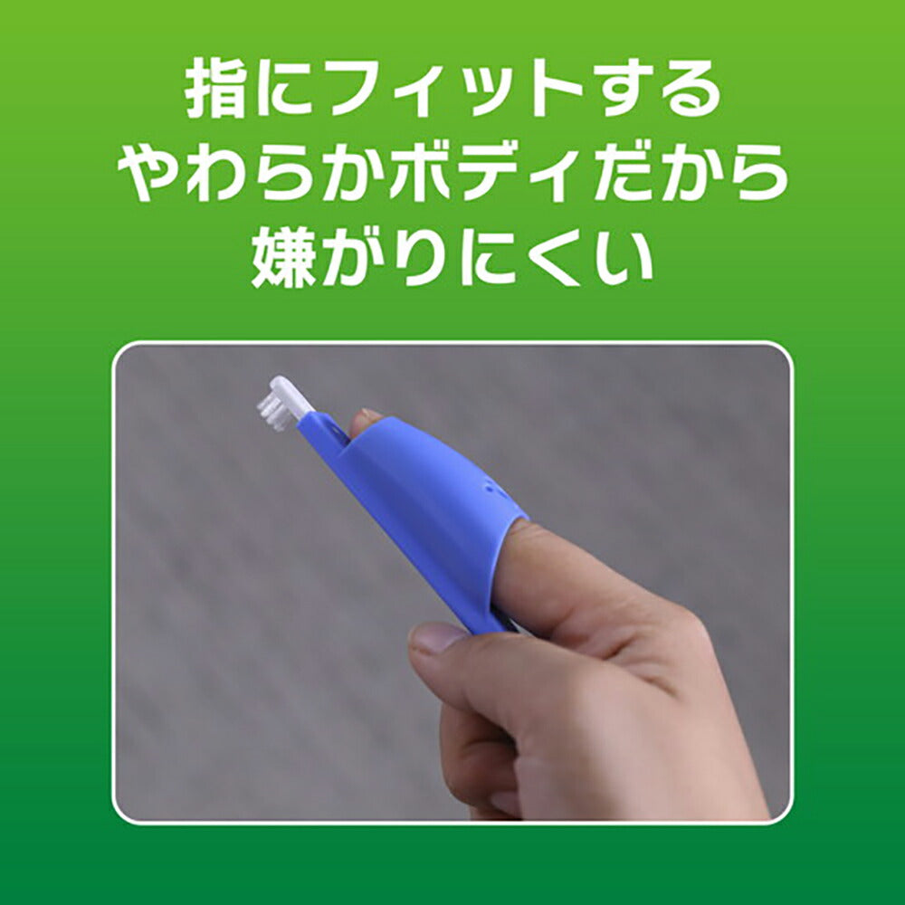 【メール便】ライオン PETKISS 指サック歯ブラシ コンパクト 1本 (犬猫兼用)[M便 1/8]