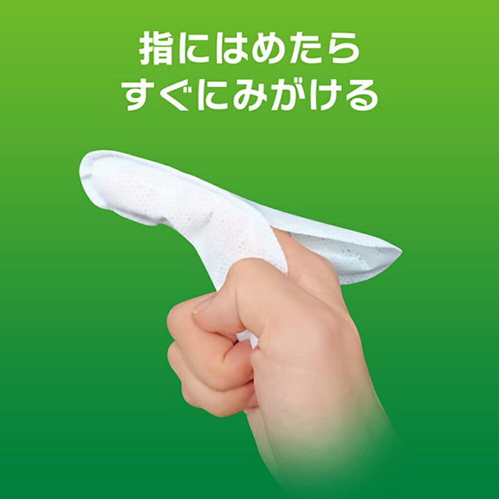 【メール便】ライオン PETKISS 指サック歯みがきシート アップルの香り 12枚 (犬猫兼用)[M便 1/8]