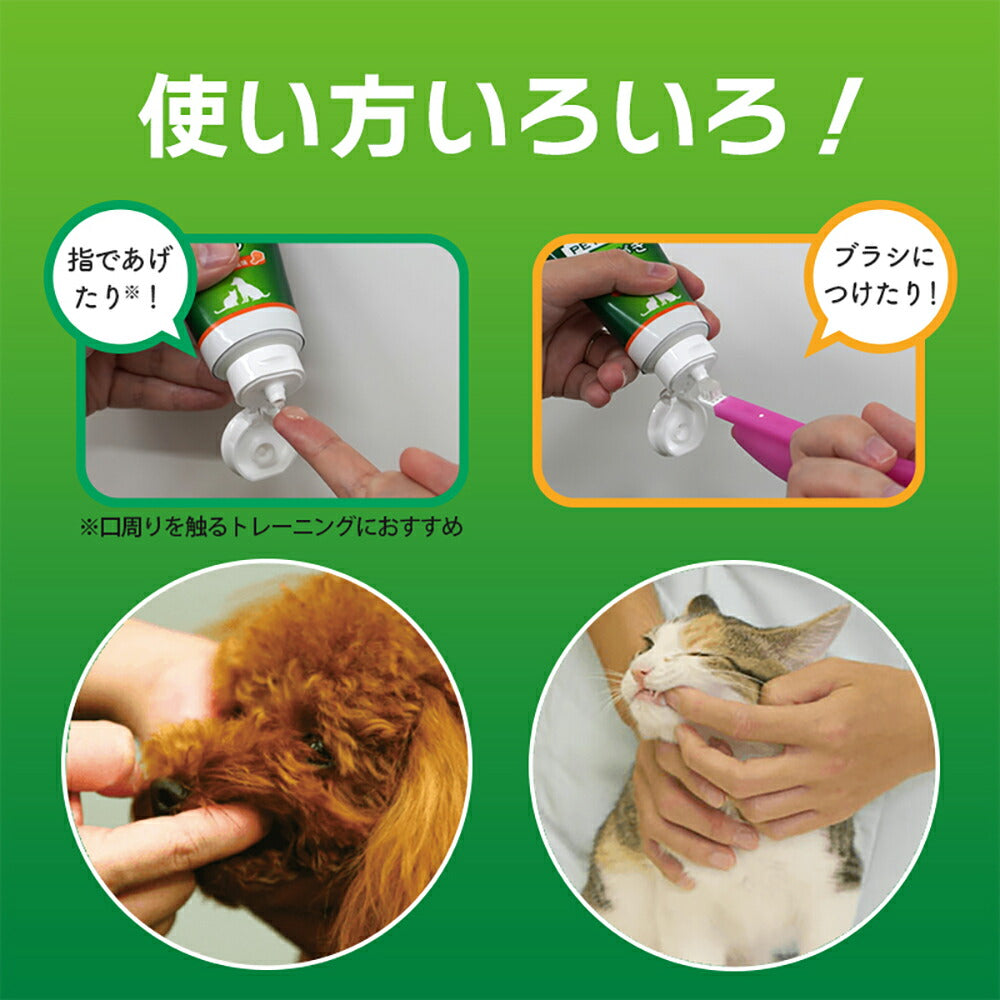 ライオン PETKISS 歯みがきジェル リーフの香り 40g (犬猫兼用)