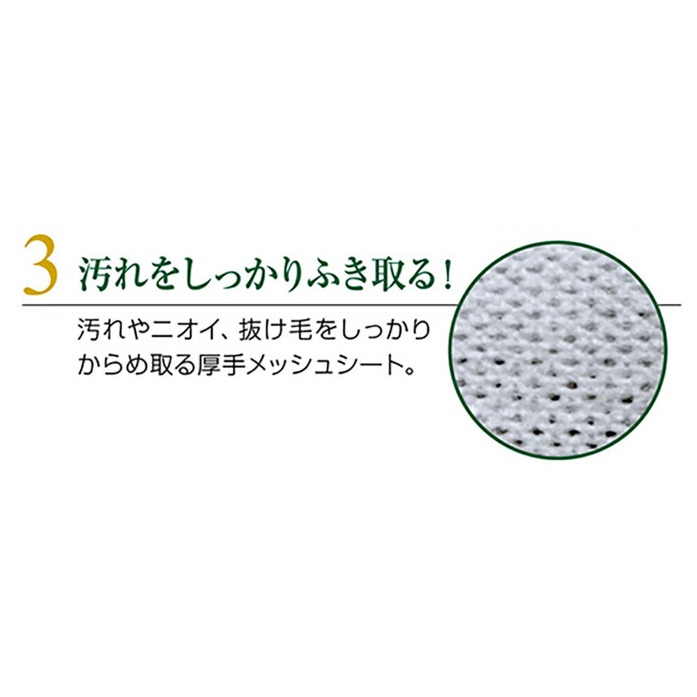 ライオン Quick & Rich トリートメントイン シャンプータオル 愛犬用 フォレストグリーン 20枚 (犬・ドッグ)
