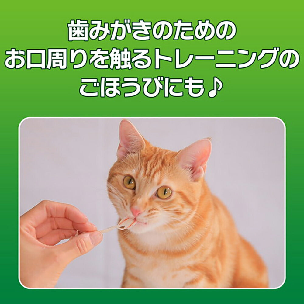 【メール便】ライオン PETKISS 猫ちゃんの歯みがきおやつ カニ風味かま 15g (猫・キャット)[M便 1/10]