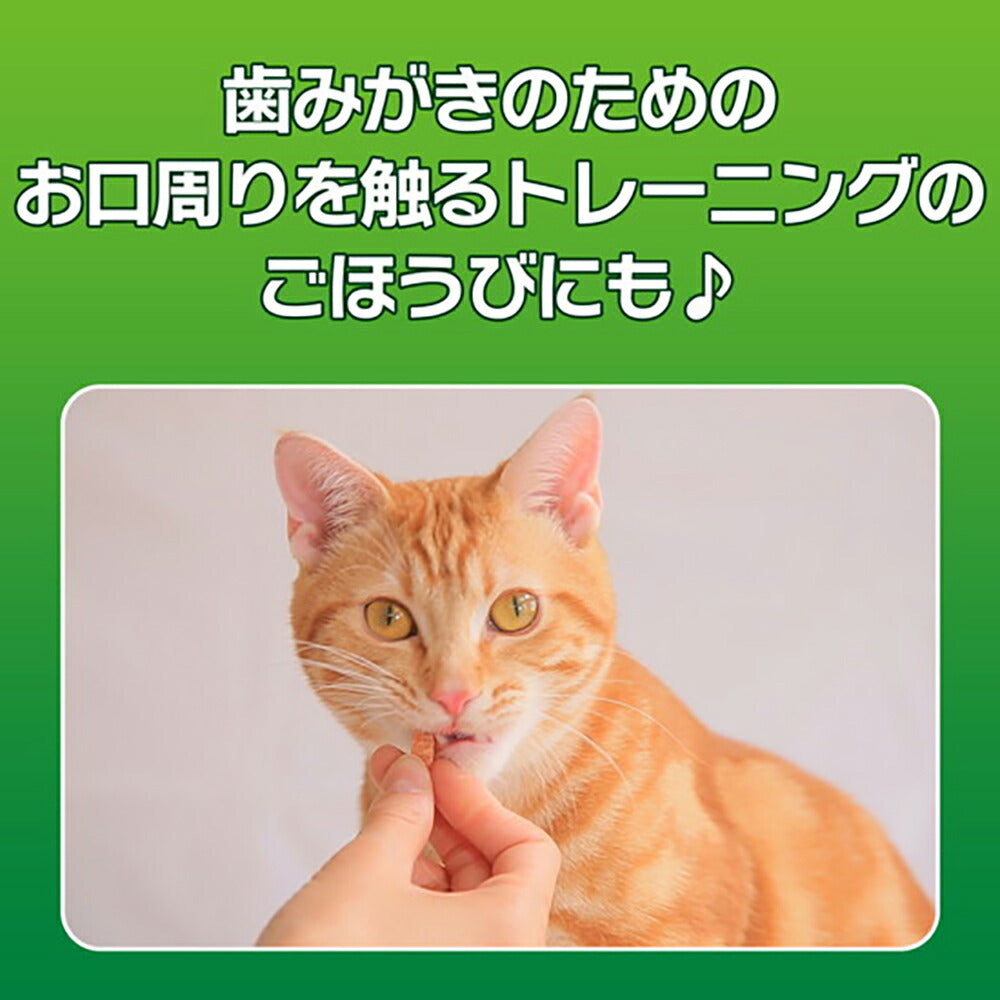 【メール便】ライオン PETKISS 猫ちゃんの歯みがきおやつ ササミジャーキー 20g (猫・キャット)[M便 1/10]