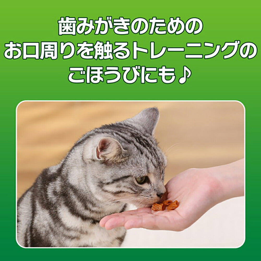 【メール便】ライオン PETKISS 猫ちゃんの歯みがきおやつ チキン味 プチ 14g (猫・キャット)[M便 1/6]