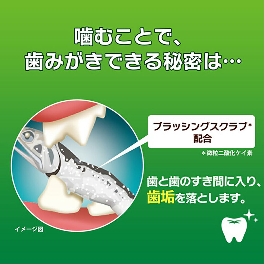 【メール便】ライオン PETKISS 猫ちゃんの歯みがきおやつ にぼし 12g (猫・キャット)[M便 1/6]