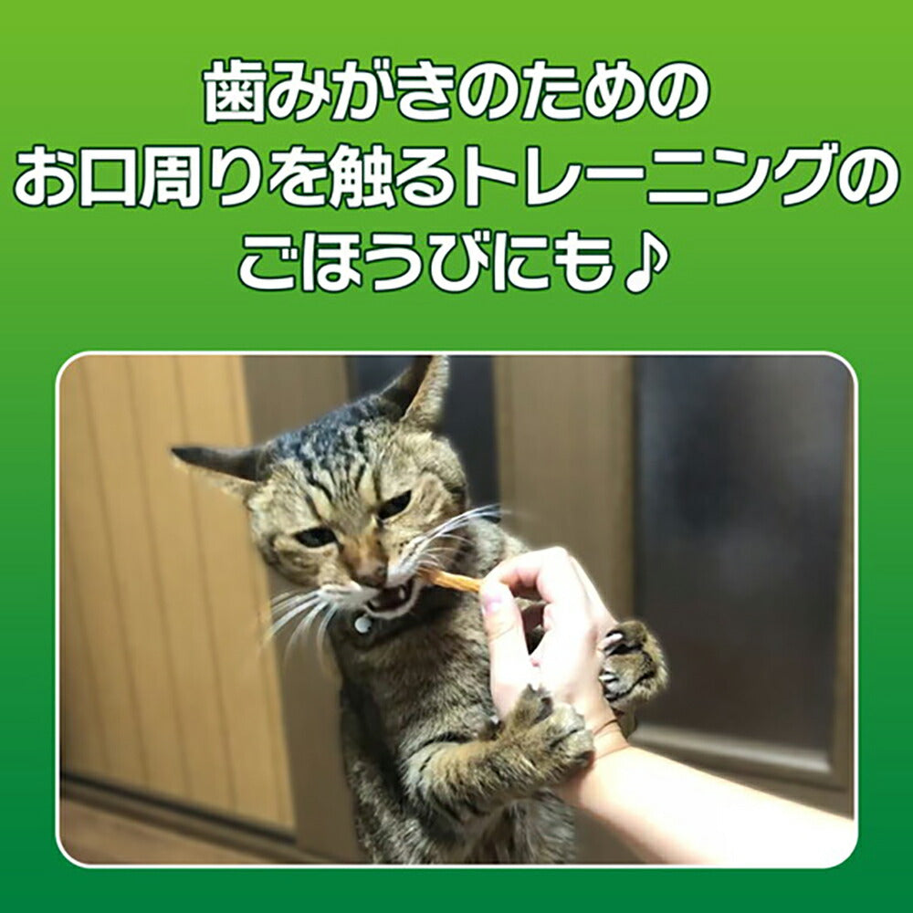 【メール便】ライオン PETKISS 猫ちゃんの歯みがきおやつ まぐろ味 スティック 7本 (猫・キャット)[M便 1/10]