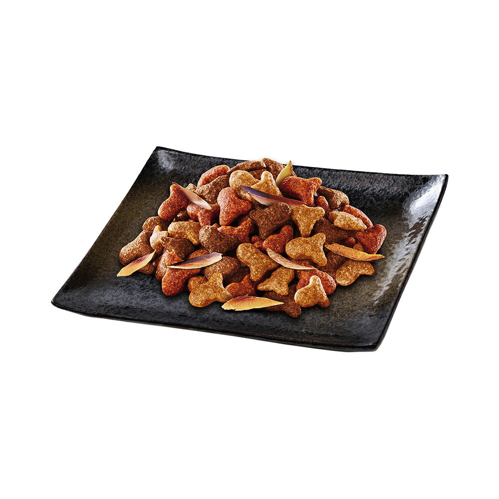 ネスレ モンプチ ボックス 厳選いわしだし入り 成猫用 190g(19g×10袋) (猫・キャット)[正規品][単品]