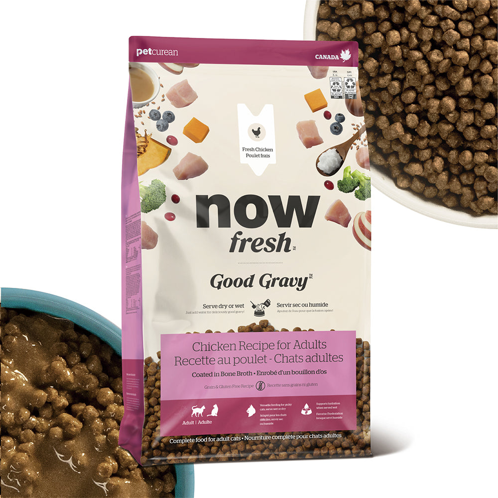 ナウフレッシュ グッドグレービー アダルトキャット チキンレシピ グレインフリー 全猫種用 成猫用 高齢猫用 3.63kg (猫・キャット)[正規品] NOW FRESH
