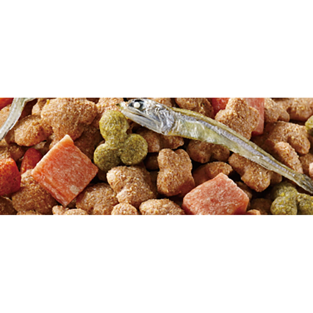 コンボ ドッグ ゴロッとビーフ入り 720g (犬・ドッグ)