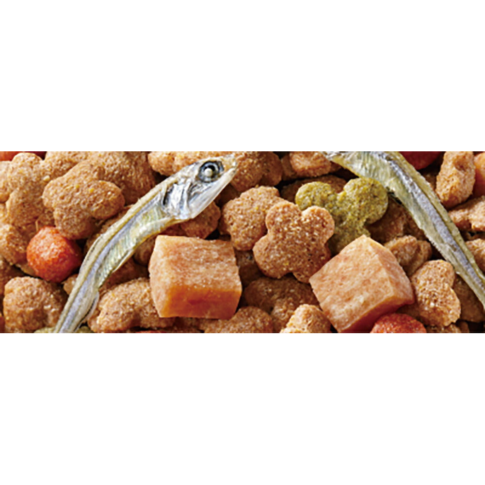 コンボ ドッグ 低脂肪 720g (犬・ドッグ)