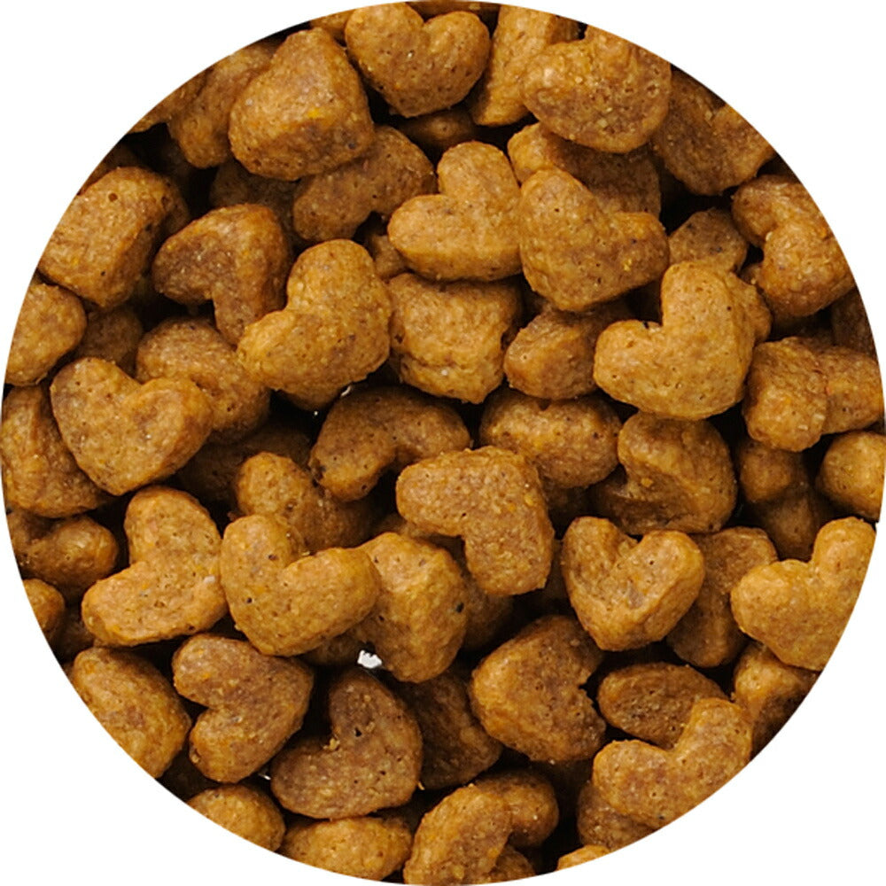 ビューティープロ キャット 子猫用 12ヵ月頃まで フィッシュ味 1.5kg (猫・キャット)