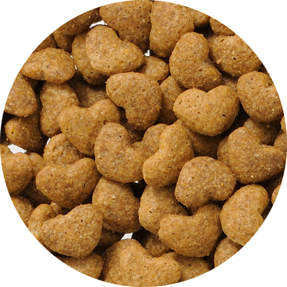 ビューティープロ キャット 成猫用 1歳から 室内猫用 フィッシュ味 1.5kg (猫・キャット)