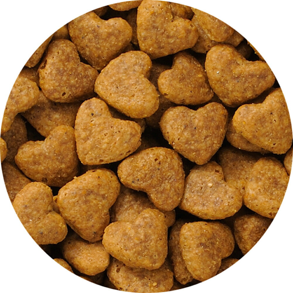 ビューティープロ キャット 下部尿路の健康維持 1歳から フィッシュ味 1.4kg (猫・キャット)