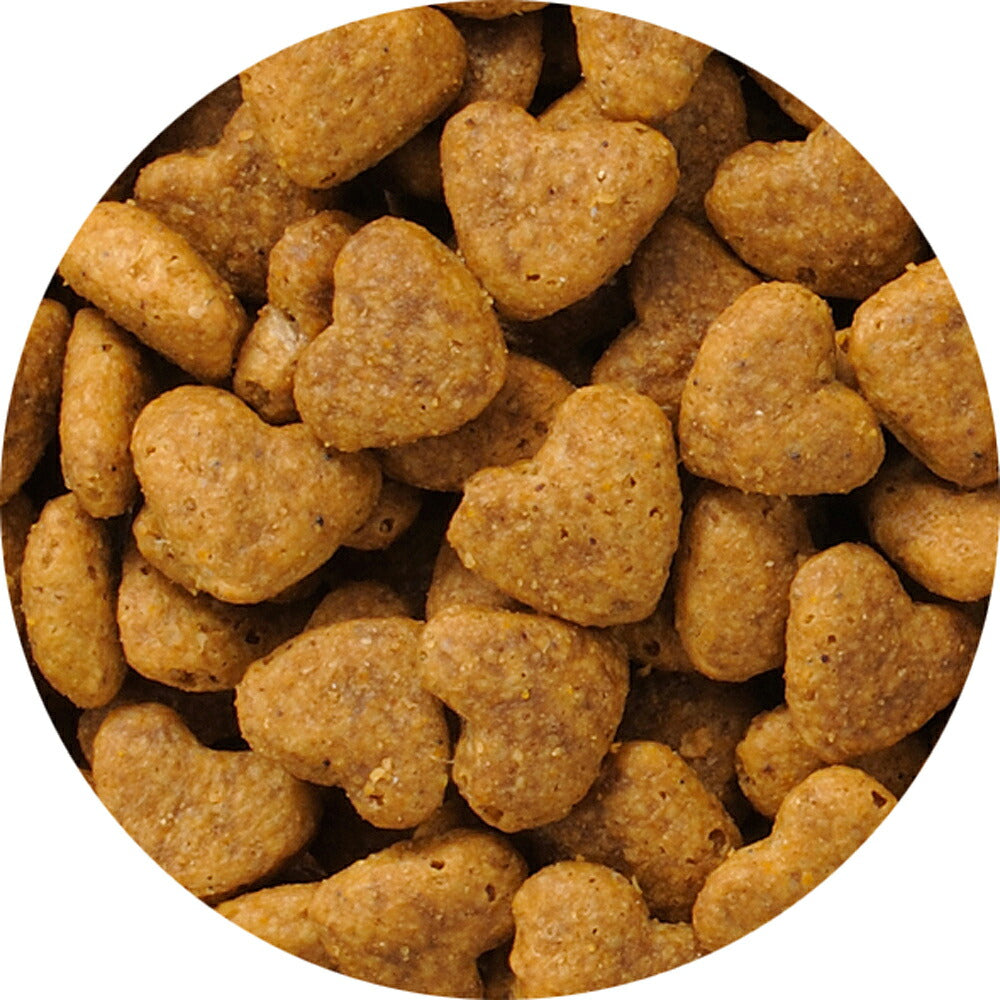 ビューティープロ キャット 下部尿路の健康維持 11歳以上 フィッシュ味 1.4kg (猫・キャット)