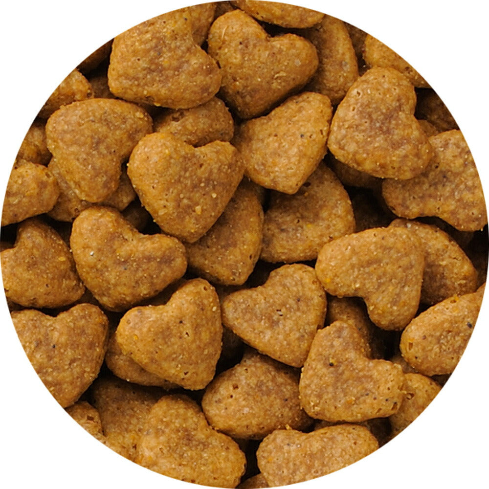 ビューティープロ キャット 下部尿路の健康維持 低脂肪 1歳から フィッシュ味 1.4kg (猫・キャット)