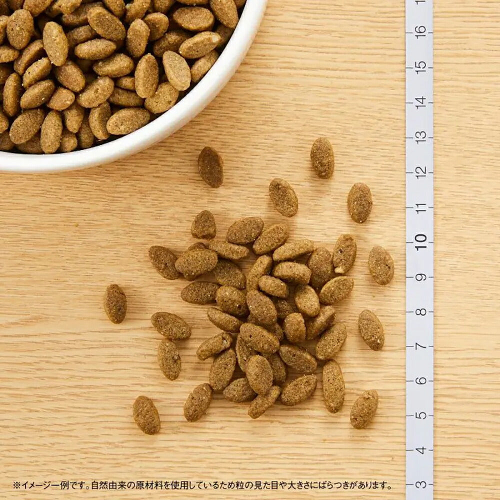 ニュートロ ナチュラルチョイス フィッシュシリーズ 室内猫用 アダルト サーモン 成猫用 400g (猫・キャット)[正規品]