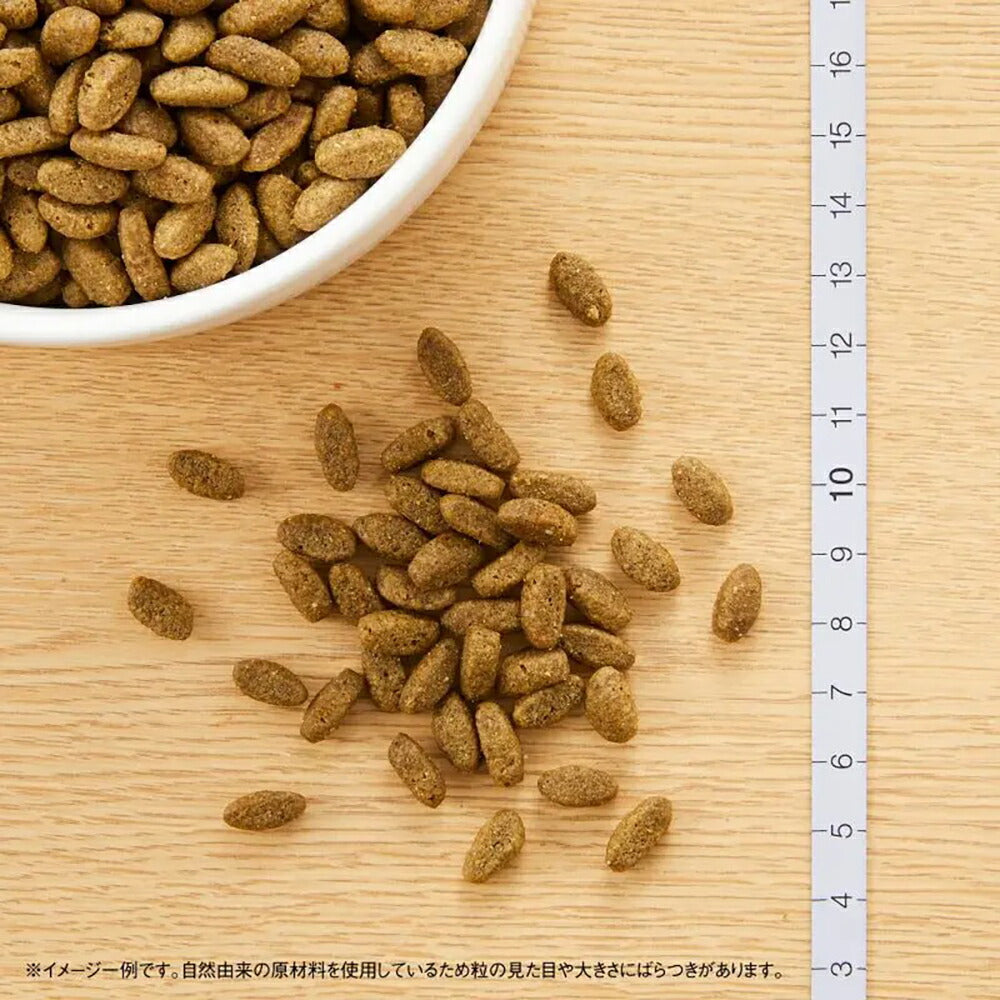 ニュートロ ナチュラルチョイス フィッシュシリーズ 避妊・去勢猫用 アダルト 白身魚 成猫用 400g (猫・キャット)[正規品]
