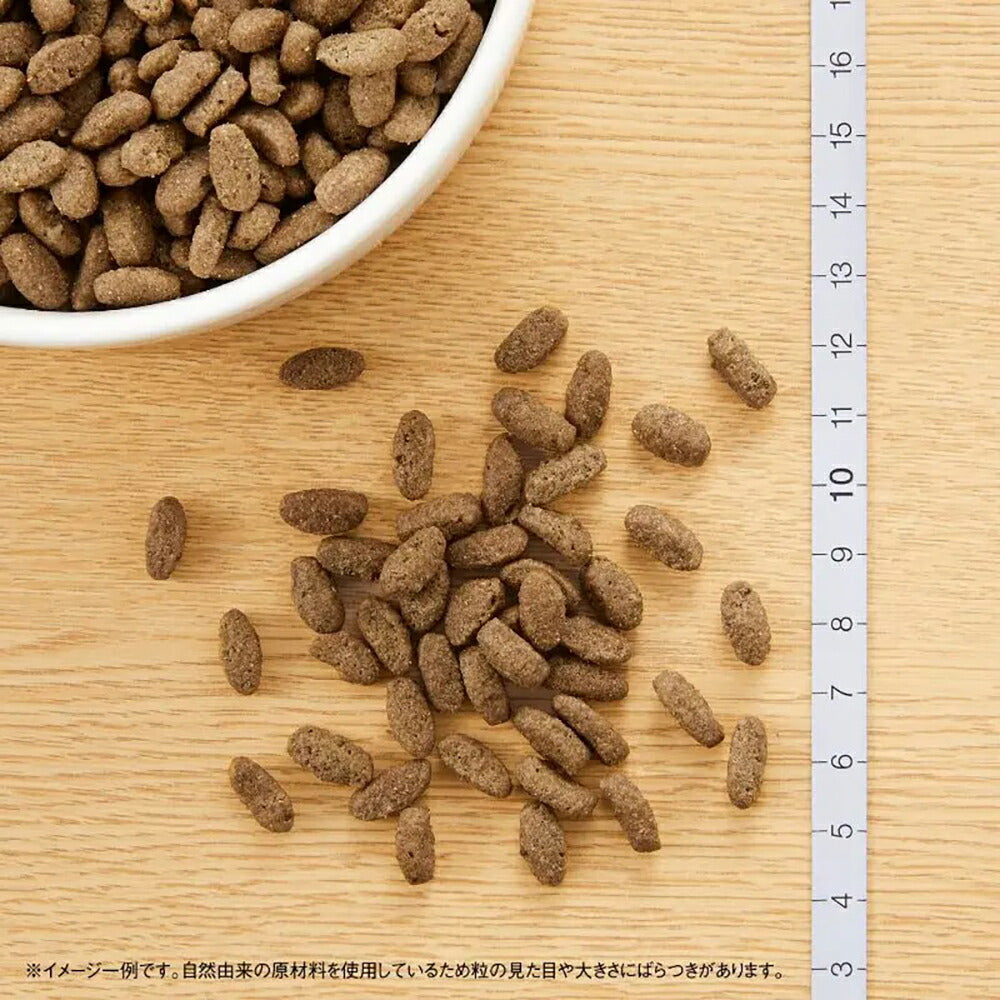 ニュートロ ナチュラルチョイス ミートシリーズ 室内猫用 アダルト チキン 成猫用 400g (猫・キャット)[正規品]