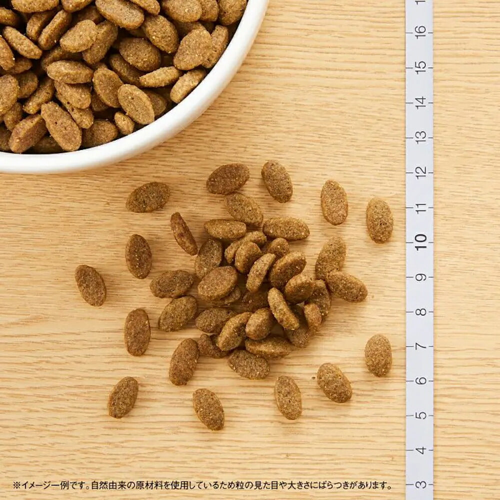 ニュートロ ナチュラルチョイス ミートシリーズ 室内猫用 アダルト ターキー 成猫用 400g (猫・キャット)[正規品]