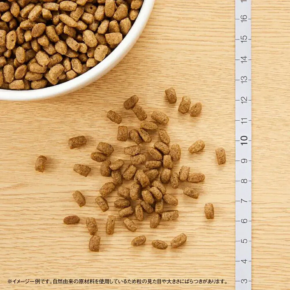 ニュートロ ナチュラルチョイス ミートシリーズ 室内猫用 キトン チキン 子猫用 400g (猫・キャット)[正規品]