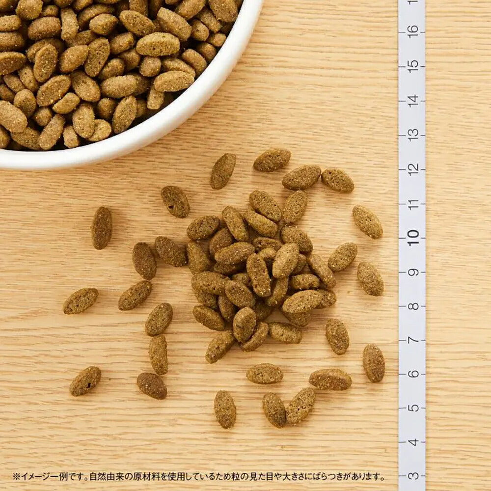 ニュートロ ナチュラルチョイス ミートシリーズ 室内猫用 エイジングケア チキン シニア猫用 400g (猫・キャット)[正規品]