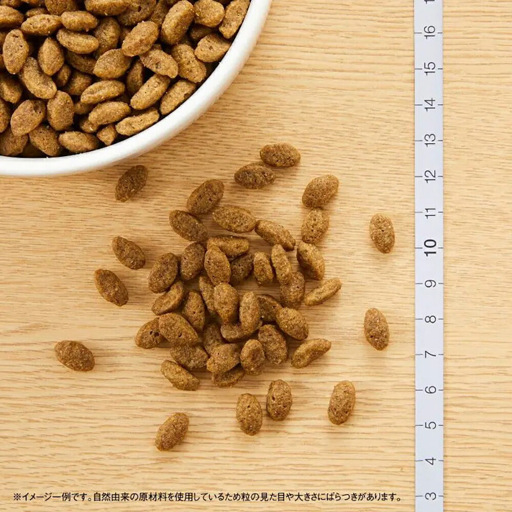 ニュートロ ナチュラルチョイス スペシャルケア 穀物フリー アダルト チキン 成猫用 400g (猫・キャット)[正規品]