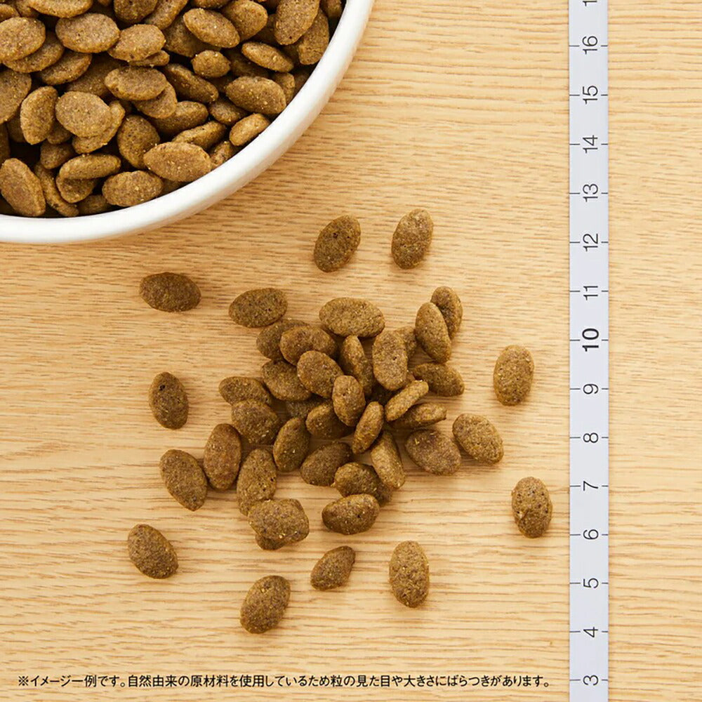 ニュートロ ナチュラルチョイス スペシャルケア 穀物フリー アダルト ダック 成猫用 400g (猫・キャット)[正規品]