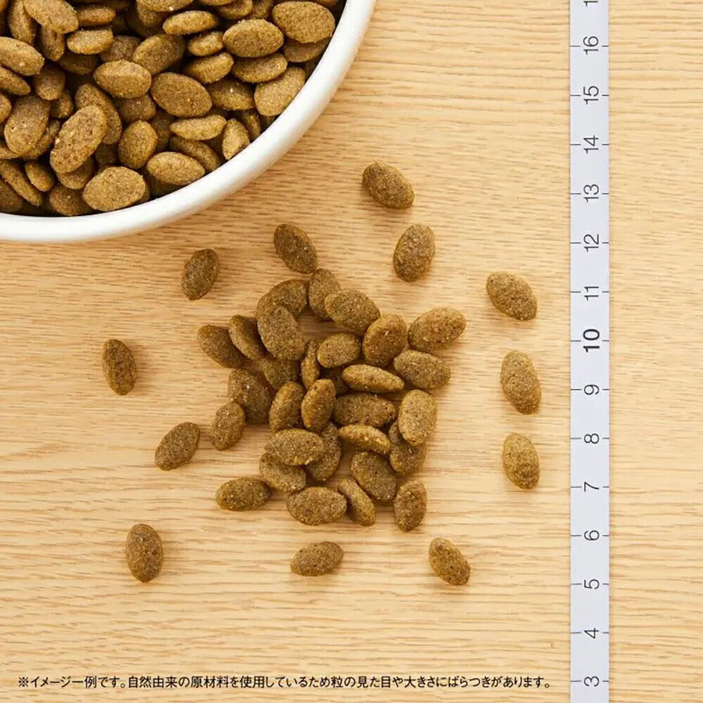 ニュートロ ナチュラルチョイス スペシャルケア 穀物フリー アダルト サーモン 成猫用 400g (猫・キャット)[正規品]