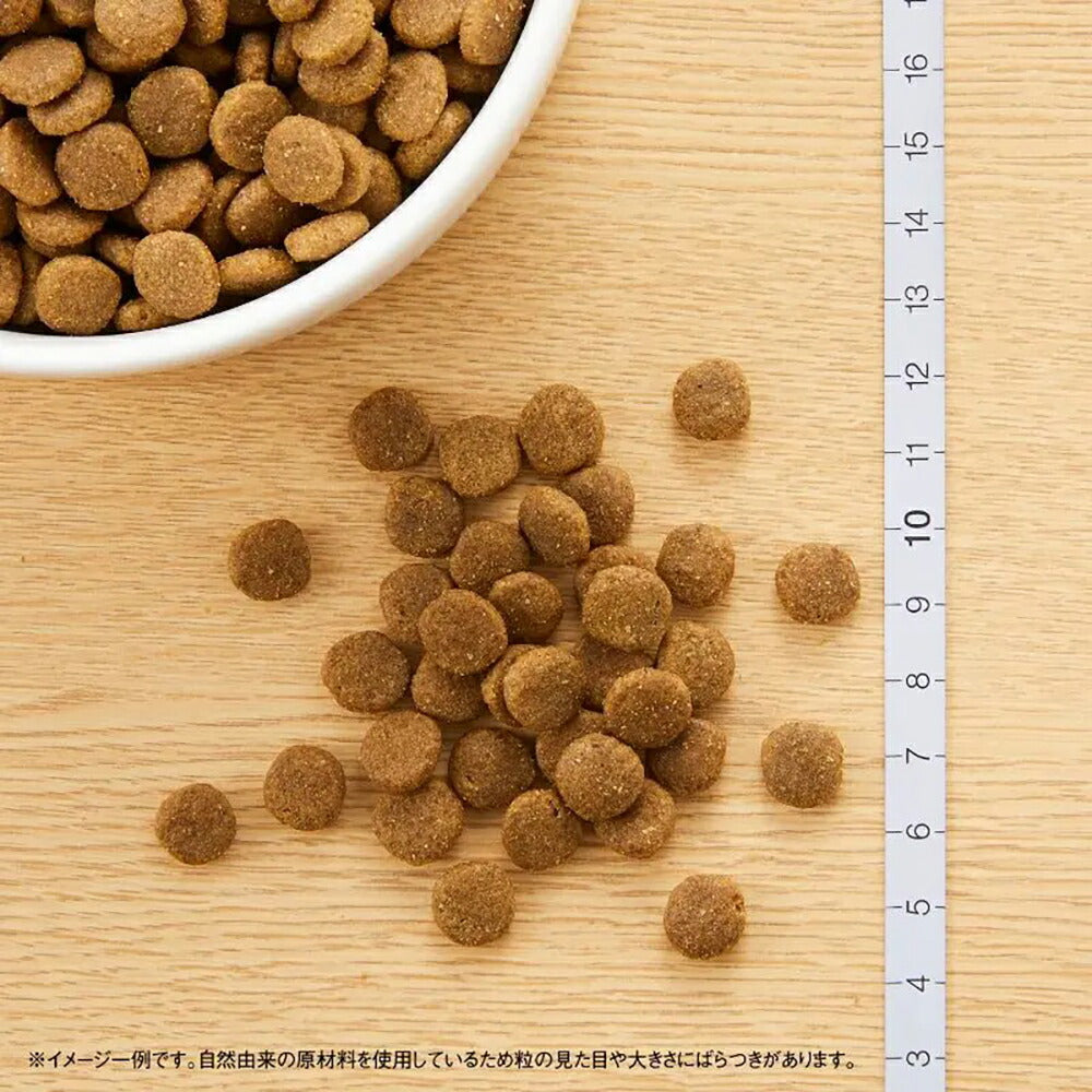 ニュートロ ナチュラルチョイス スペシャルケア 食にこだわる猫用 アダルト チキン 成猫用 400g (猫・キャット)[正規品]