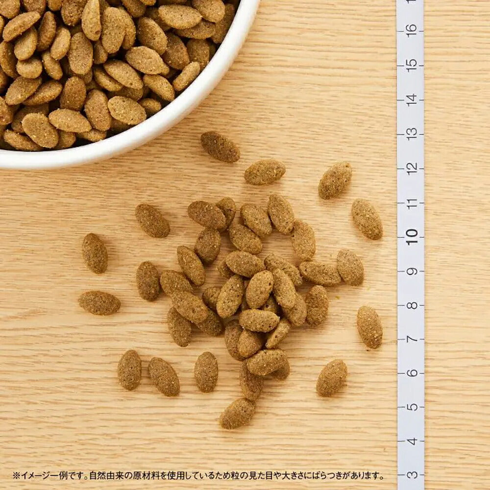 ニュートロ ナチュラルチョイス スペシャルケア 毛玉トータルケア アダルト チキン 成猫用 400g (猫・キャット)[正規品]