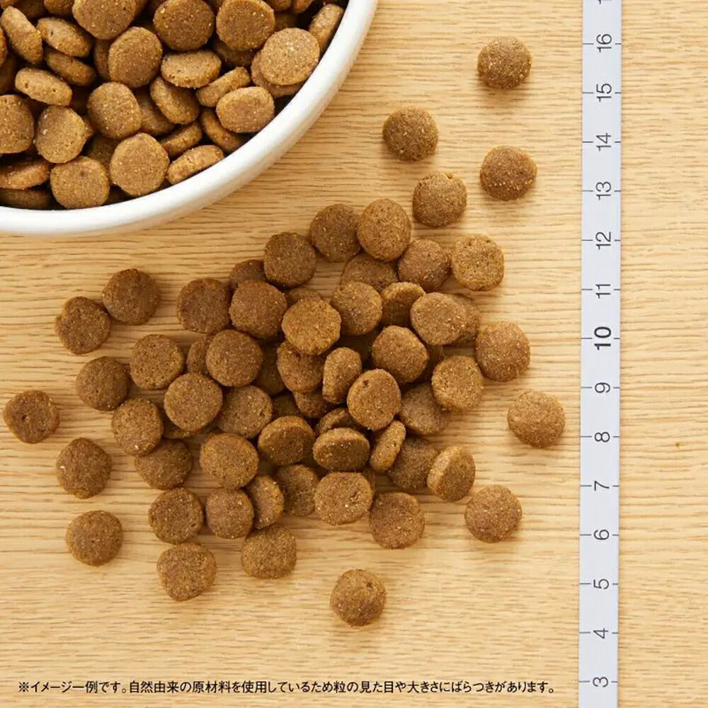 ニュートロ ワイルドレシピ アダルト チキン 成猫用 400g (猫・キャット)[正規品]