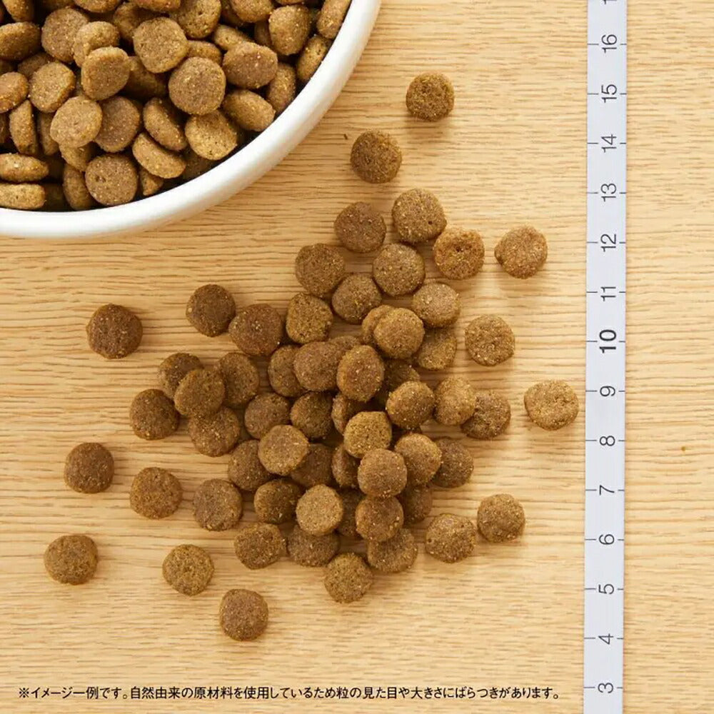 ニュートロ ワイルドレシピ アダルト 白身魚 成猫用 1kg (猫・キャット)[正規品]