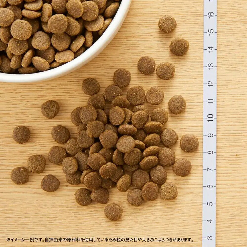 ニュートロ ワイルドレシピ アダルト サーモン 成猫用 400g (猫・キャット)[正規品]