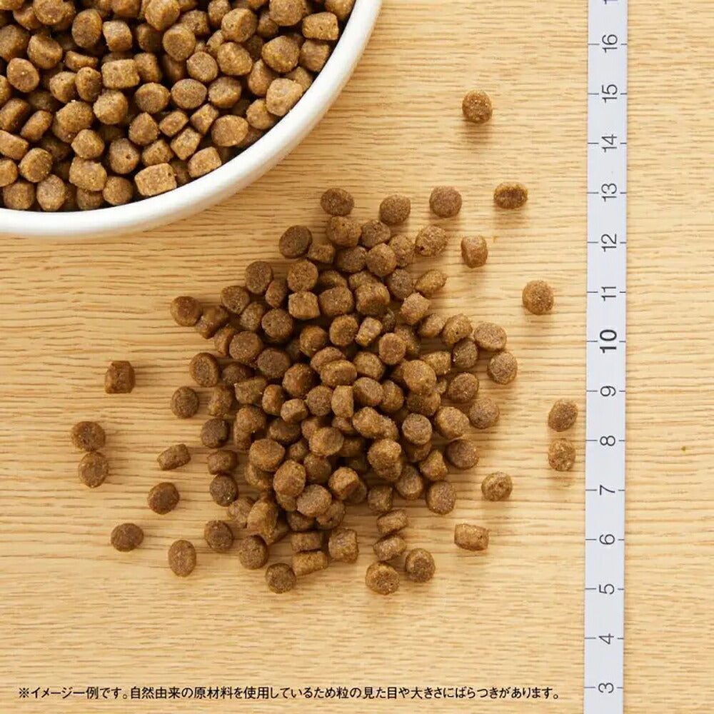 【2kg×2袋】ニュートロ ワイルドレシピ キトン チキン 子猫用 (猫・キャット)[正規品]