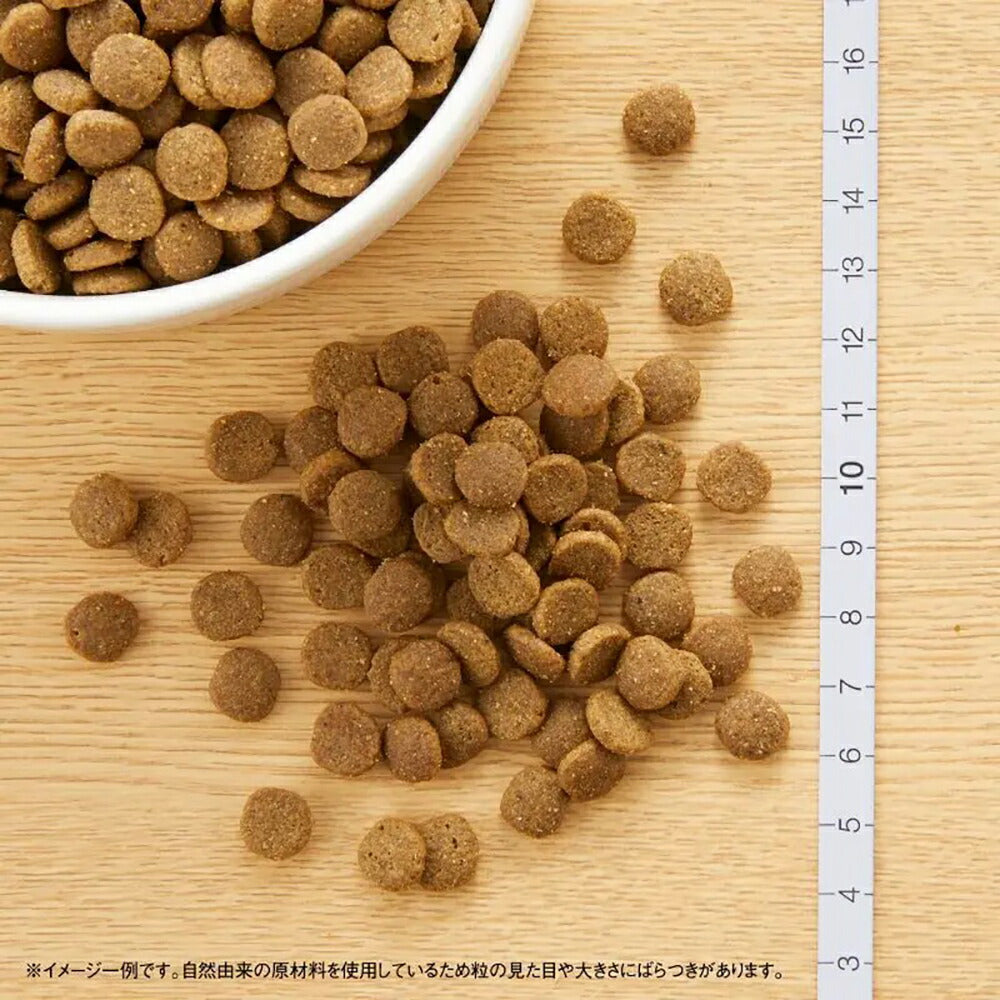 【400g×10袋】ニュートロ ワイルドレシピ エイジングケア チキン シニア猫用 (猫・キャット)[正規品]