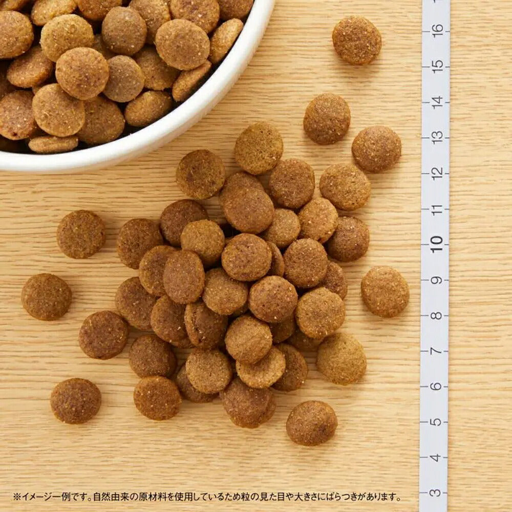ニュートロ ナチュラルチョイス プレミアムチキン 大型犬 子犬用 妊娠中・授乳中の母犬にも チキン＆玄米 3kg (犬・ドッグ)[正規品]