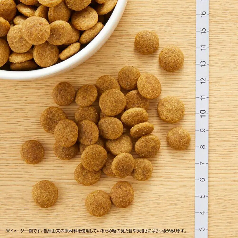 ニュートロ ナチュラルチョイス プレミアムチキン 中型犬～大型犬 成犬用 チキン＆玄米 3kg (犬・ドッグ)[正規品]