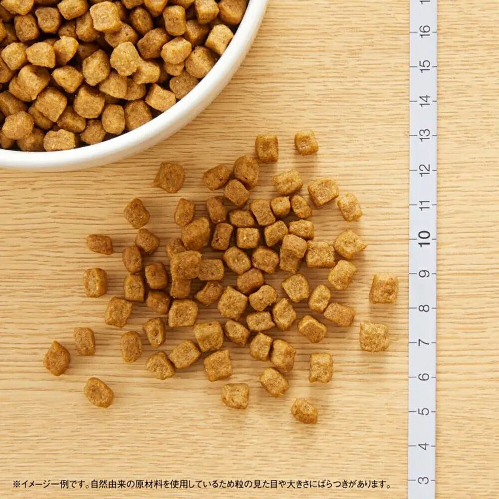 ニュートロ ナチュラルチョイス プレミアムチキン 小型犬 成犬用 生後8ヶ月以上 チキン＆玄米 1kg (犬・ドッグ)[正規品]
