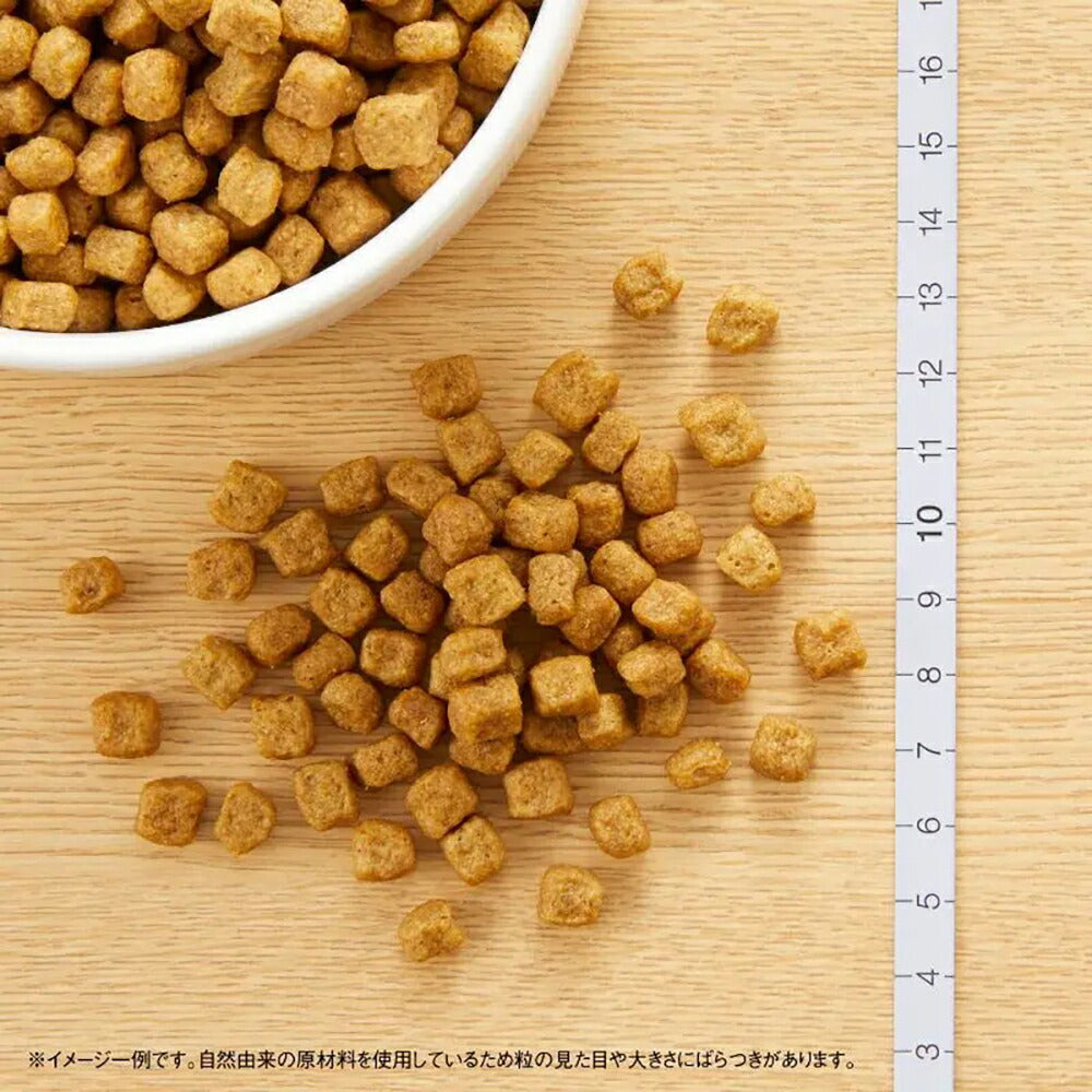 ニュートロ ナチュラルチョイス プレミアムチキン 小型犬 エイジングケア チキン＆玄米 6kg (犬・ドッグ)[正規品]