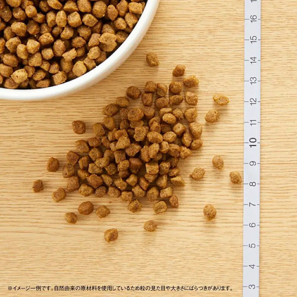 ニュートロ ナチュラルチョイス プレミアムチキン 超小型犬 4kg以下用 成犬用 生後8ヶ月以上 チキン＆玄米 4kg (犬・ドッグ)[正規品]