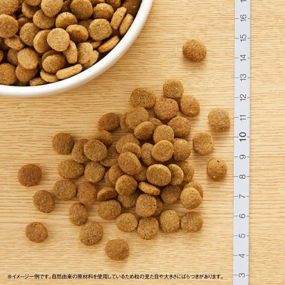 【3kg×4袋】ニュートロ ナチュラルチョイス プロテインシリーズ 全犬種用 子犬用 妊娠中・授乳中の母犬にも ラム＆玄米 (犬・ドッグ)[正規品]