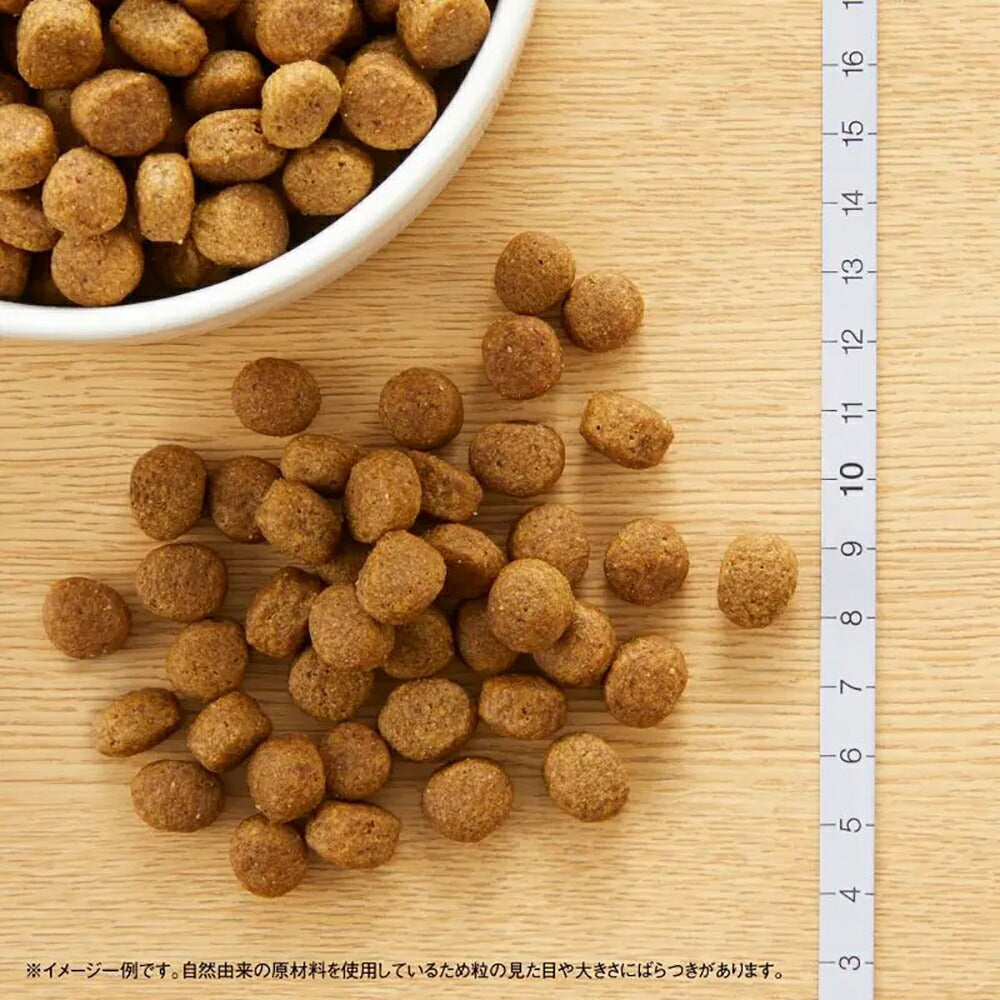【2kg×8袋】ニュートロ ナチュラルチョイス プロテインシリーズ 中型犬～大型犬 成犬用 ラム＆玄米 (犬・ドッグ)[正規品]