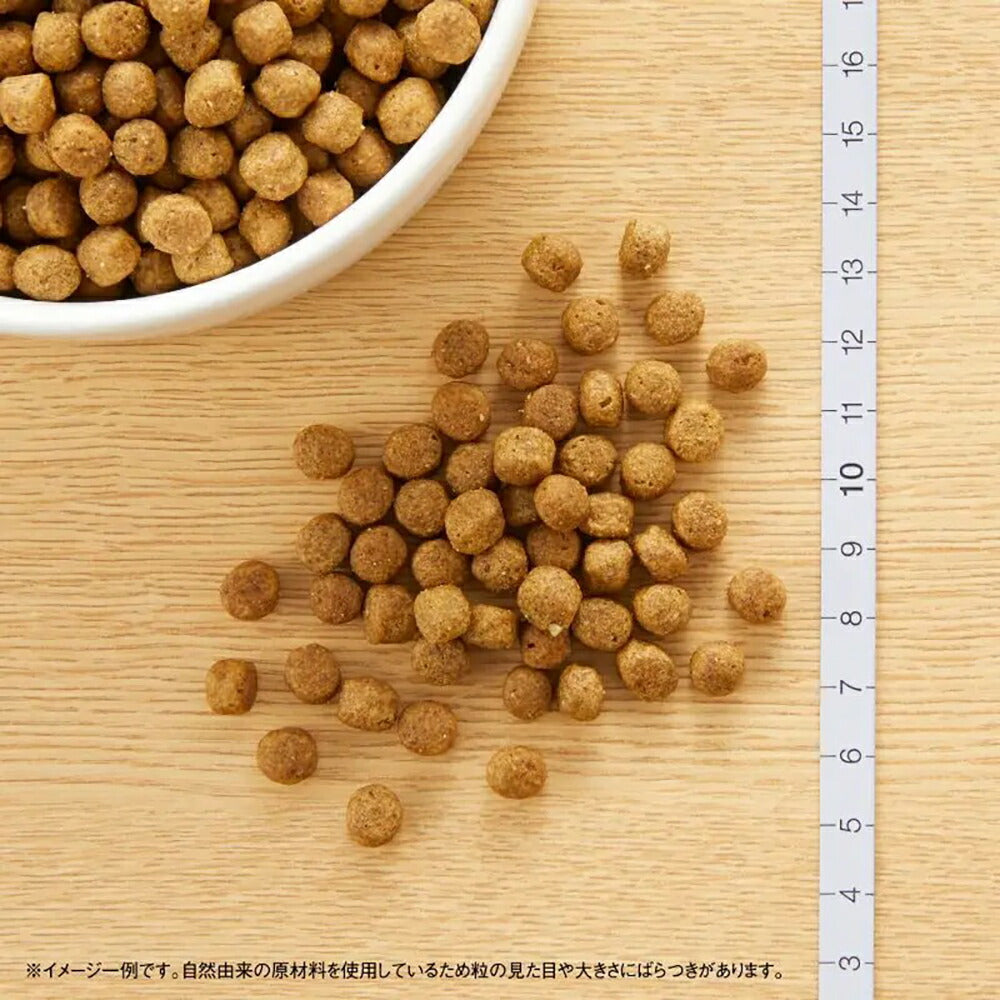 ニュートロ ナチュラルチョイス プロテインシリーズ 超小型犬～小型犬 成犬用 ラム＆玄米 6kg (犬・ドッグ)[正規品]